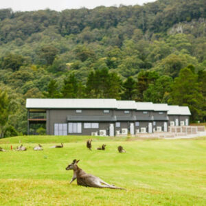Kangaroo Valley Golf Club Day Tour
